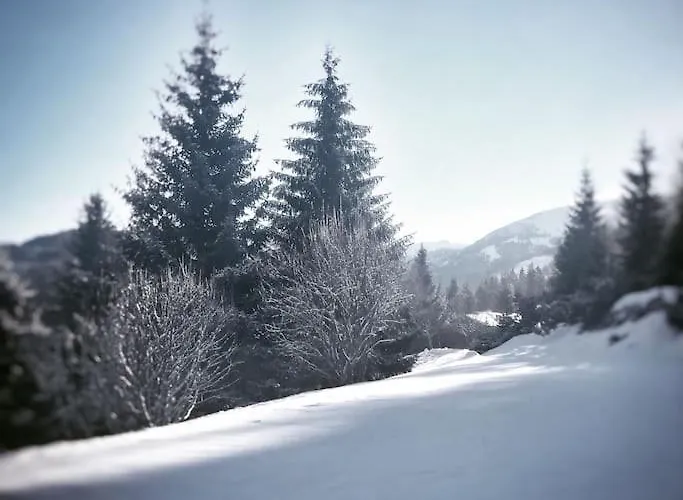 Koralm 7 Apartment *