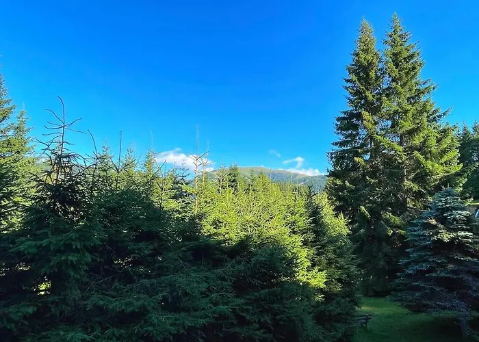 Apartment Koralm 7 *